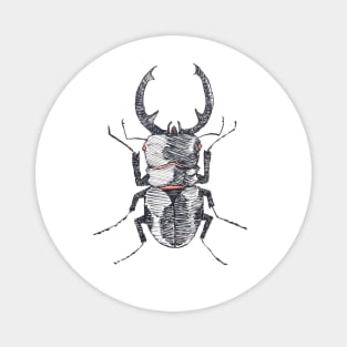 Stag Beetle Magnet